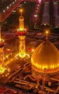 به یه همسفر خانم واسه کربلا