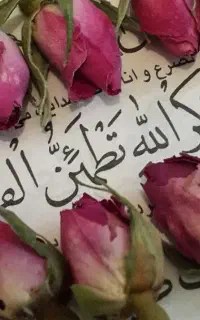 سرکتاب