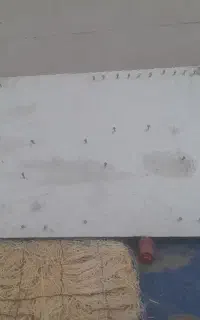 تخته ابزار