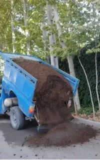 کود حیوانی گاوی وگوسفندی