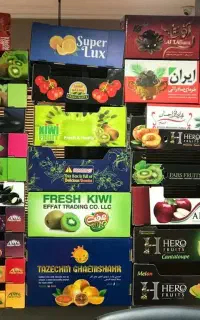 کارتن سازی گیل پک