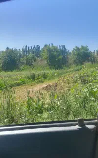 کار در مزرعه