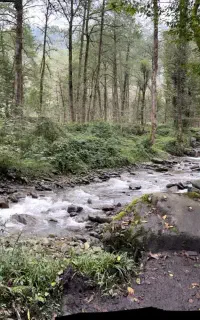 استخدام باغبان و کشاورز