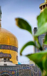 کاروان زیارتی مشهد