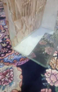 آکواریوم بزرگ