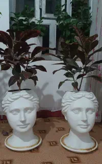 گل و گلدان