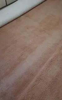 موکت پرز بلند