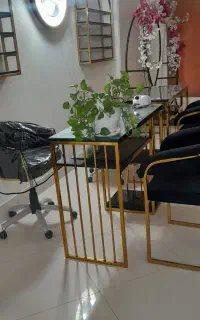 اجاره لاین های در سالن زیبایی