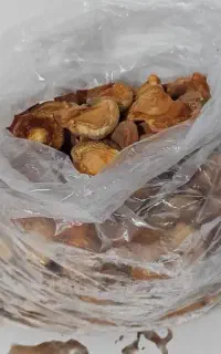 زردآلو خشک