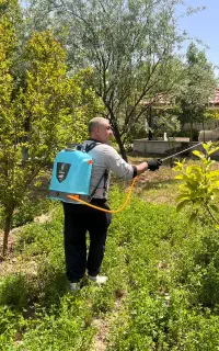 باغبانی سم پاشی