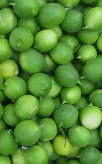 فروش آبلیموی تازه