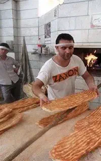 شاطر یا چونه گیر بربری