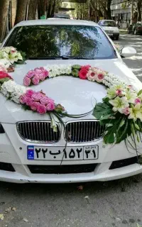 تشریفات عروسی باخدماتی تضمینی وحرفه ایی