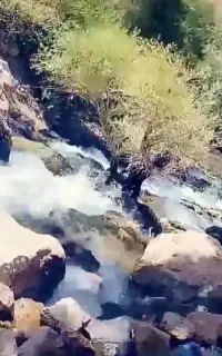 طبیعت گردی