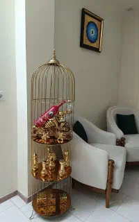 قفس
