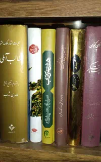 کتاب رمان روانشناسی تاریخی ادبیات
