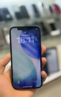 12pro 256