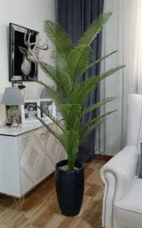 درختچه کنار سالنی