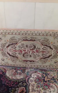پشتی