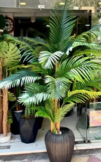 فروش عمده درختچه های مصنوعی وارداتی