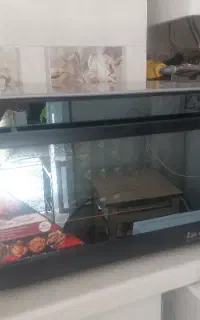 توستر    لمسی  نو