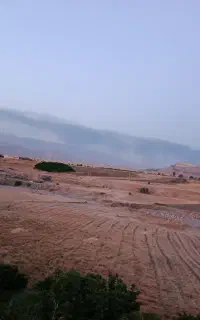 فروش سه باک کاه گندم