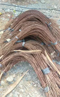 سیم دو متری