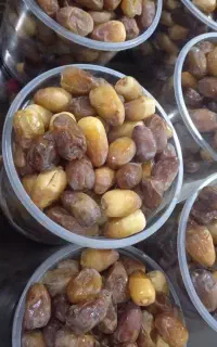 رطب