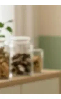پذیرش کارآموز ودعوت به همکاری