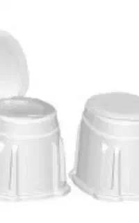 توالت فرنگی