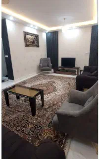 منشی خانم جوان