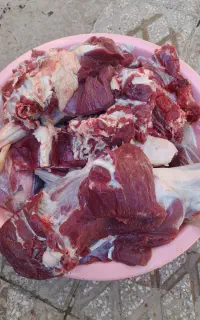 میش و شیشک کشتاری