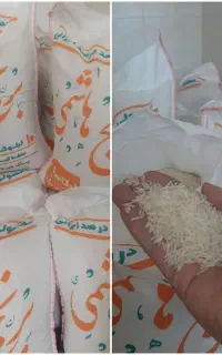 فروش باکالابرگ برنج طارم هاشمی کشت دو۱۰کیلوفقط۳۴۸۰