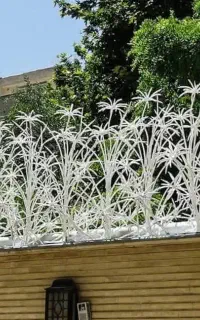 تولیدی آقای حفاظ یزد