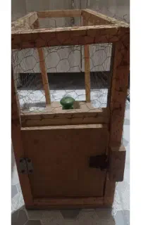 قفس کبوتر