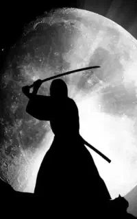 سالن ورزشی حاج قاسم سلیمانی (نینجا WNF)
