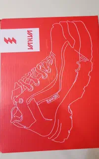 کفش کار