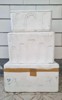 یخدان ( جنس یونولیت )
