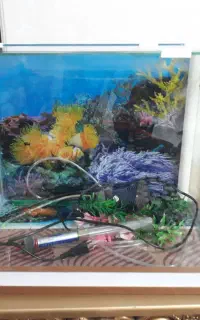 اکواریم