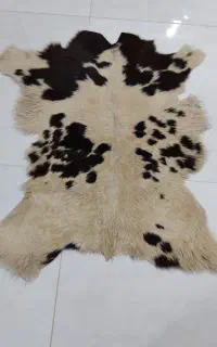 پوست گوساله پادری