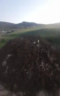 کود حیوانی