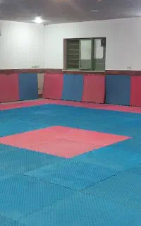 باشگاه رزمی کونگ فو توآ