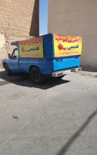 آبگیری گوجه