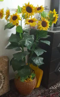 گل آفتاب گردان مصنوعی