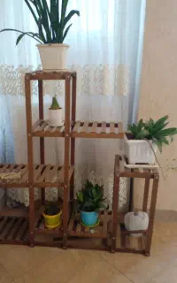 استند گل آپارتمانی