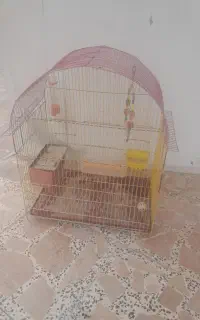 قفس پرنده