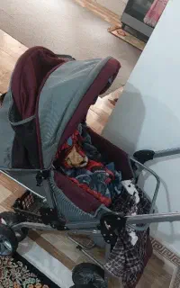 کالسکه ، آغوشی  و صندلی ماشین، کریرنوزادی و روروئک