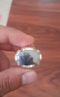 انگشتر شجر زیبا