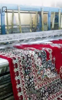 قالیشوی ومبل شویی شایان رودهن پردیس گیلاوند