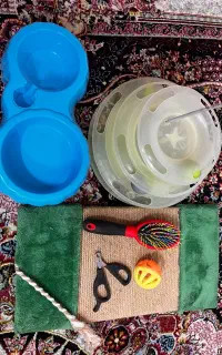 وسایل گربه